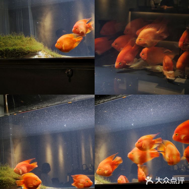 城市咖啡角落随性一刻🐢与保安室巨型龟的午后