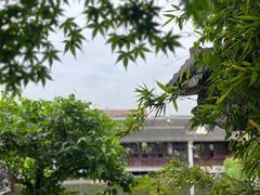 -艺圃