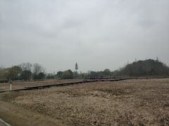 -梁鸿国家湿地公园
