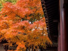 -陈光记烧腊(长寿路店)