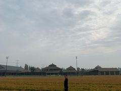 -乌村
