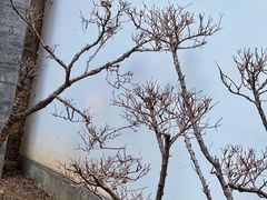 -西安华清御汤酒店