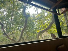 -毛辣果·酸(OHA复兴西路店)