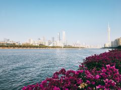 -珠江夜游广州塔·中大码头