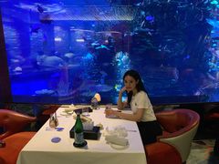 -迪拜帆船酒店海底餐厅