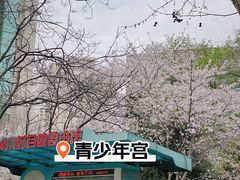 -西北湖绿化广场