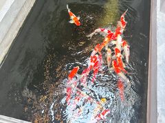 -鲤院·新中式美学·庭院餐厅(夫子庙店)