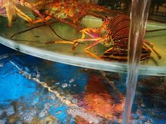 -保定会馆(裕华店)