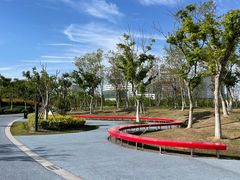 -春花秋色城市公园