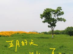 -良渚古城遗址公园