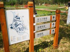 -东郊湿地公园