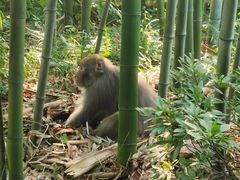 -苏州环秀晓筑养生度假村