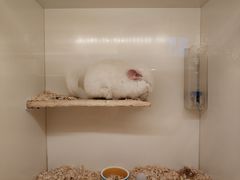 -龙猫仔乐园(惠福东路店)