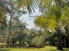 -中国科学院西双版纳热带植物园