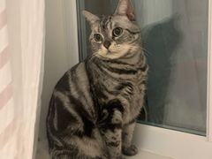 -北京恒爱动物医院(清景园分院)