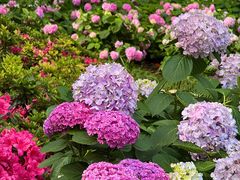 -常州古运河南大街文化旅游区-人民公园