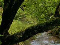 -丹东天桥沟景区