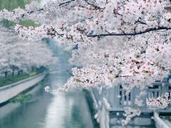 -鸡鸣寺