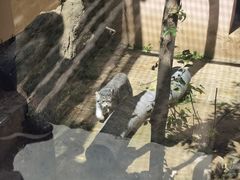 -青藏高原野生动物园