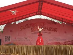 -天适樱花悠乐园
