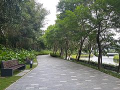 -深圳湾公园(南山区)
