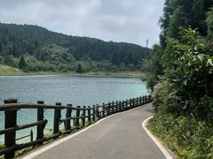 -武陵山森林公园