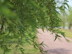 -长兴太湖图影湿地文化园