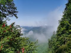 -塔云山