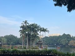 -荔湾湖公园