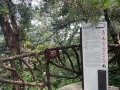 -沂蒙山旅游区龟蒙景区
