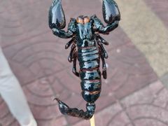 -唐人街(耀华力路)