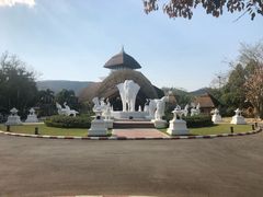 -清迈夜间动物园