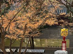 -湛山寺