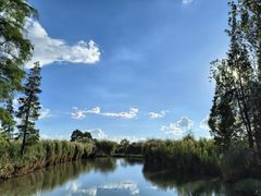 -捞渔河湿地公园