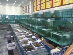 水产区-海岛渔村大酒店(云霄路店)