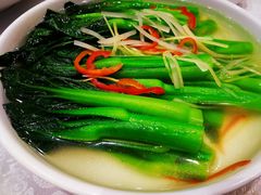 盐水菜心-鹅城