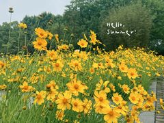 -白塘生态植物园
