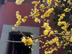 -钱王祠