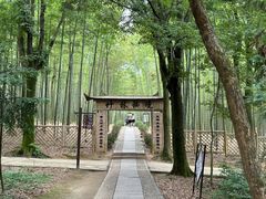 -大奇山国家森林公园