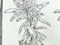 -莲花国际广场