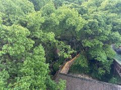 -巴倒烫陆派火锅山庄(南山总店)