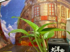 -大洋家·精品潮汕菜·生腌砂锅粥(天河东路店)