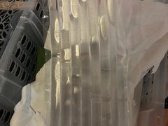 -菜园坝水果市场