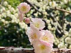 -静安雕塑公园