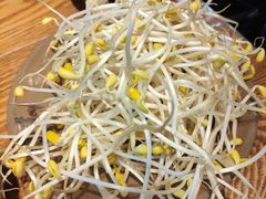 仁虎井水豆芽-仁虎老火锅(黄泥磅店)