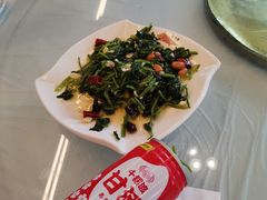 -京北渔家傲