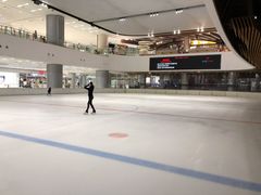 -TheRink大零溜冰场(IFS国金中心店)