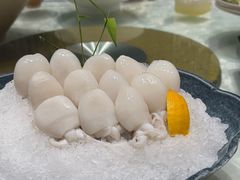 -海鲨湾海鲜会馆(百家湖1912店)