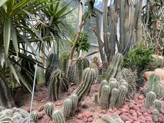-郑州植物园