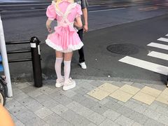 -秋叶原电器街